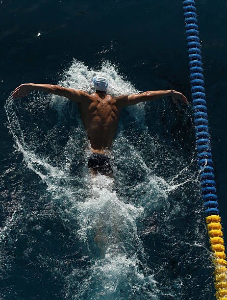 Tập Gym Xong Có Nên Bơi Không? Giải Đáp Từ A-Z Cho Gymer